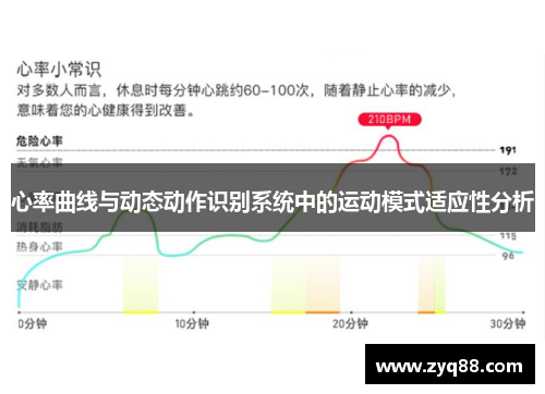 心率曲线与动态动作识别系统中的运动模式适应性分析